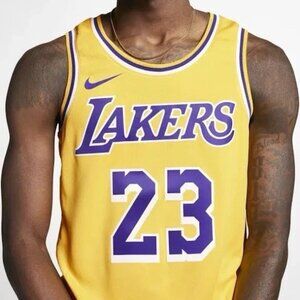 Nike NBA Lakers Jersey LeBron James Edition Swingman AA7099-741 Size Small